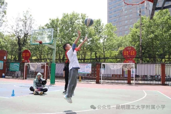 职业球员如何通过联赛提升竞技水平_1