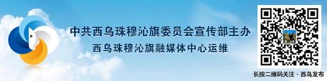 专业篮球运动员推荐的赛事训练计划_1